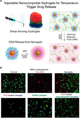 Recent advances in hydrogels-based osteosarcoma therapy